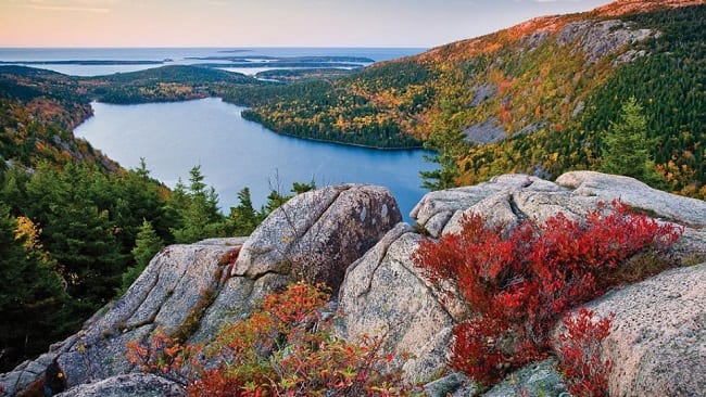 acadia fall